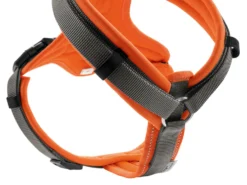 Hunter Hundegeschirr Maldon Orange/grau 10 Hunter Hundegeschirr Maldon Orange/grau -Günstiges Hundeshop Geschäft 1001101 Product