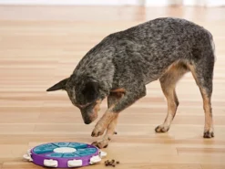 Nina Ottosson Hundespielzeug Level 3 Dog Twister -Günstiges Hundeshop Geschäft 1002184 Product