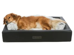 Trixie Kissenrolle Harvey Für Hunde -Günstiges Hundeshop Geschäft 1004159 Product