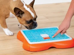 Nina Ottosson Hundespielzeug Level 3 Challenge Slider -Günstiges Hundeshop Geschäft 1004191 Product