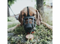 Hunter Maulkorb Albury 21 Hunter Maulkorb Albury -Günstiges Hundeshop Geschäft 1005585 Product