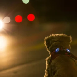 Curli Luumie Hundehalsband Und -Geschirrlicht 2-er Set 14 Curli Luumie Hundehalsband Und -Geschirrlicht 2-er Set -Günstiges Hundeshop Geschäft 1008310 Product