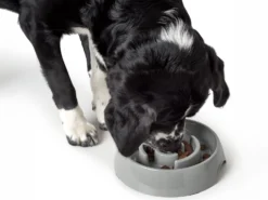 Hunter Anti-Schlingnapf Atlanta 9 Hunter Anti-Schlingnapf Atlanta -Günstiges Hundeshop Geschäft 1008474 Product