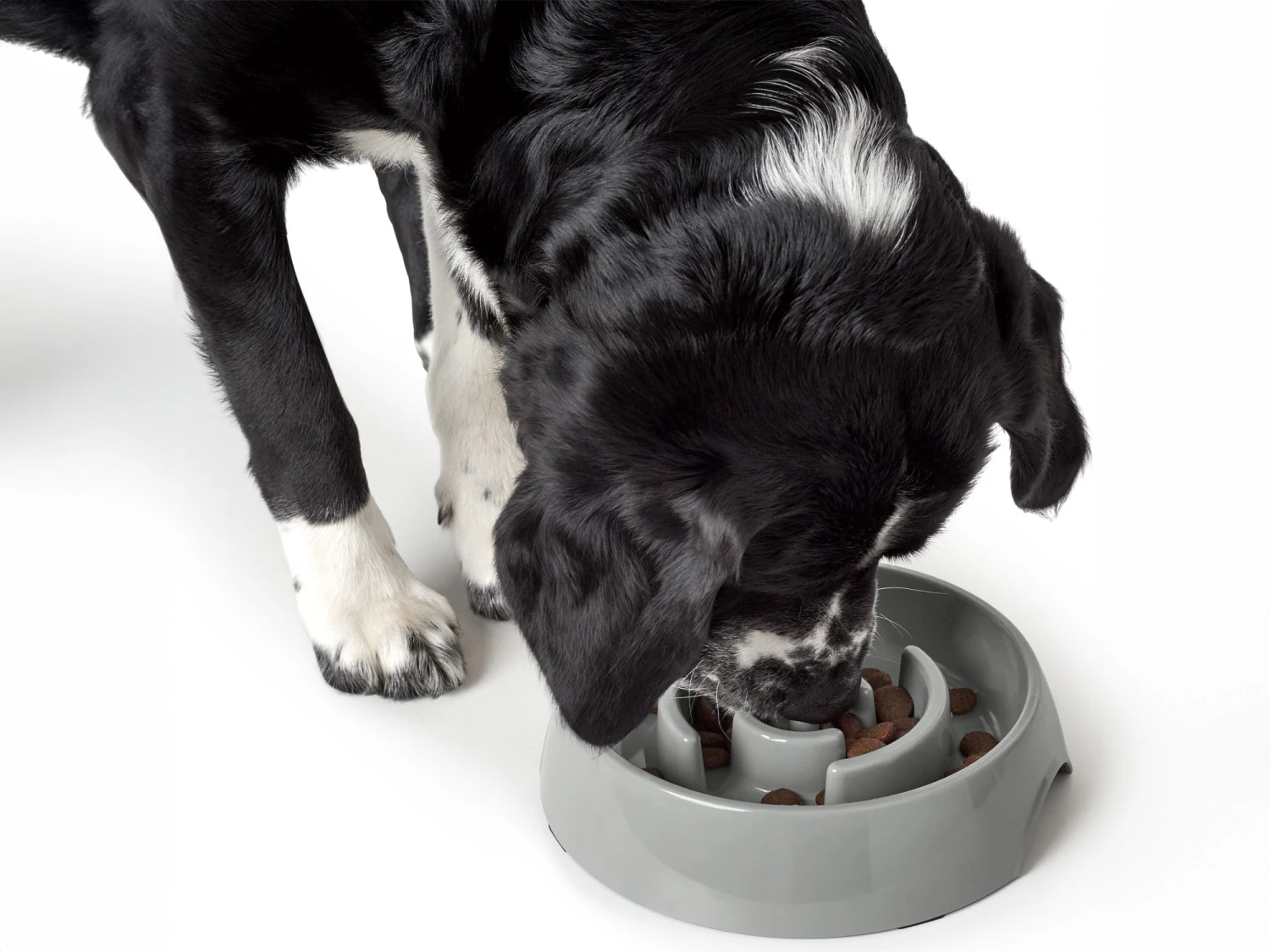 Hunter Anti-Schlingnapf Atlanta 6 Hunter Anti-Schlingnapf Atlanta – Bild 4