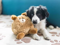 Wolters Plüschball Hund 9 Wolters Plüschball Hund -Günstiges Hundeshop Geschäft 1009213 Product