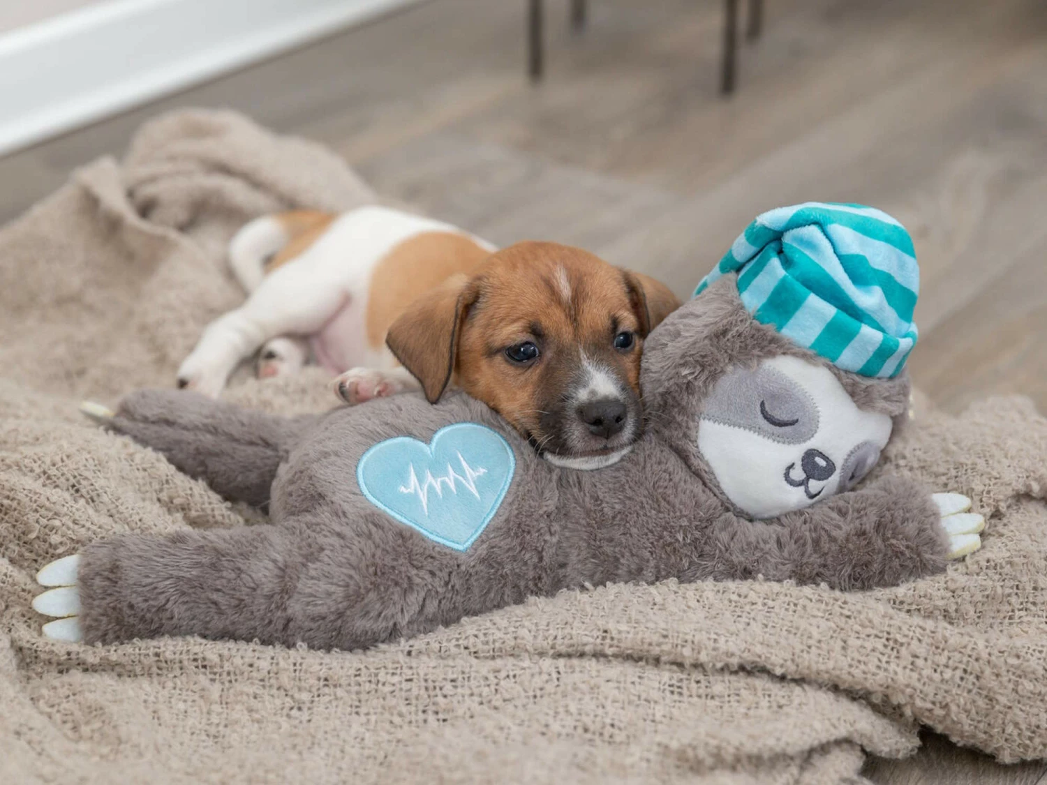 Trixie Junior Herzschlag Plüsch-Faultier Für Welpen 10 Trixie Junior Herzschlag Plüsch-Faultier Für Welpen – Bild 8