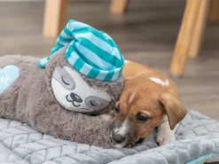 Trixie Junior Herzschlag Plüsch-Faultier Für Welpen 19 Trixie Junior Herzschlag Plüsch-Faultier Für Welpen -Günstiges Hundeshop Geschäft 1012601 Product