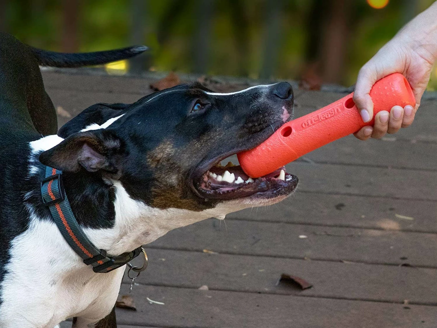 Dexas Off Leash Tumbler Dummy Für Hunde 7 Dexas Off Leash Tumbler Dummy Für Hunde – Bild 5