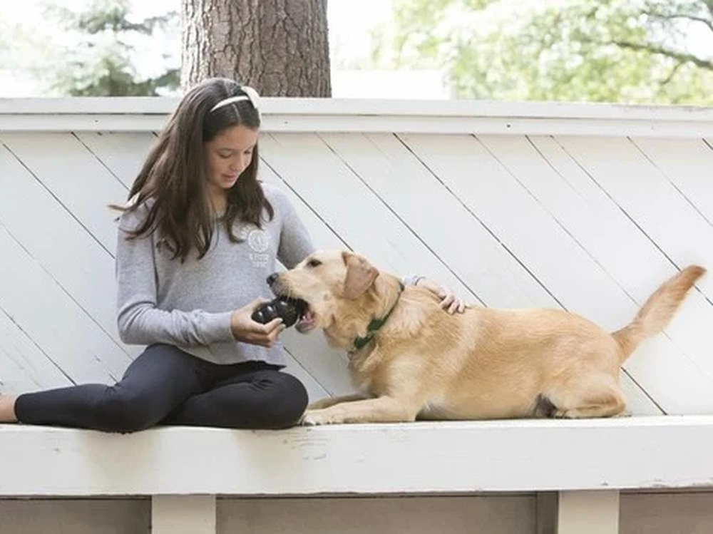 Kong Extreme Kauspielzeug Für Hunde 6 Kong Extreme Kauspielzeug Für Hunde – Bild 4