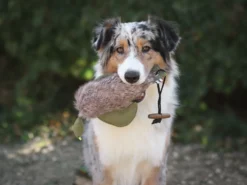 Duck Dummy Ente Mit Kunstfell 10 Duck Dummy Ente Mit Kunstfell -Günstiges Hundeshop Geschäft 1022881 Product