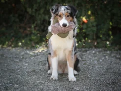 Duck Dummy Ente Mit Kunstfell 11 Duck Dummy Ente Mit Kunstfell -Günstiges Hundeshop Geschäft 1022882 Product