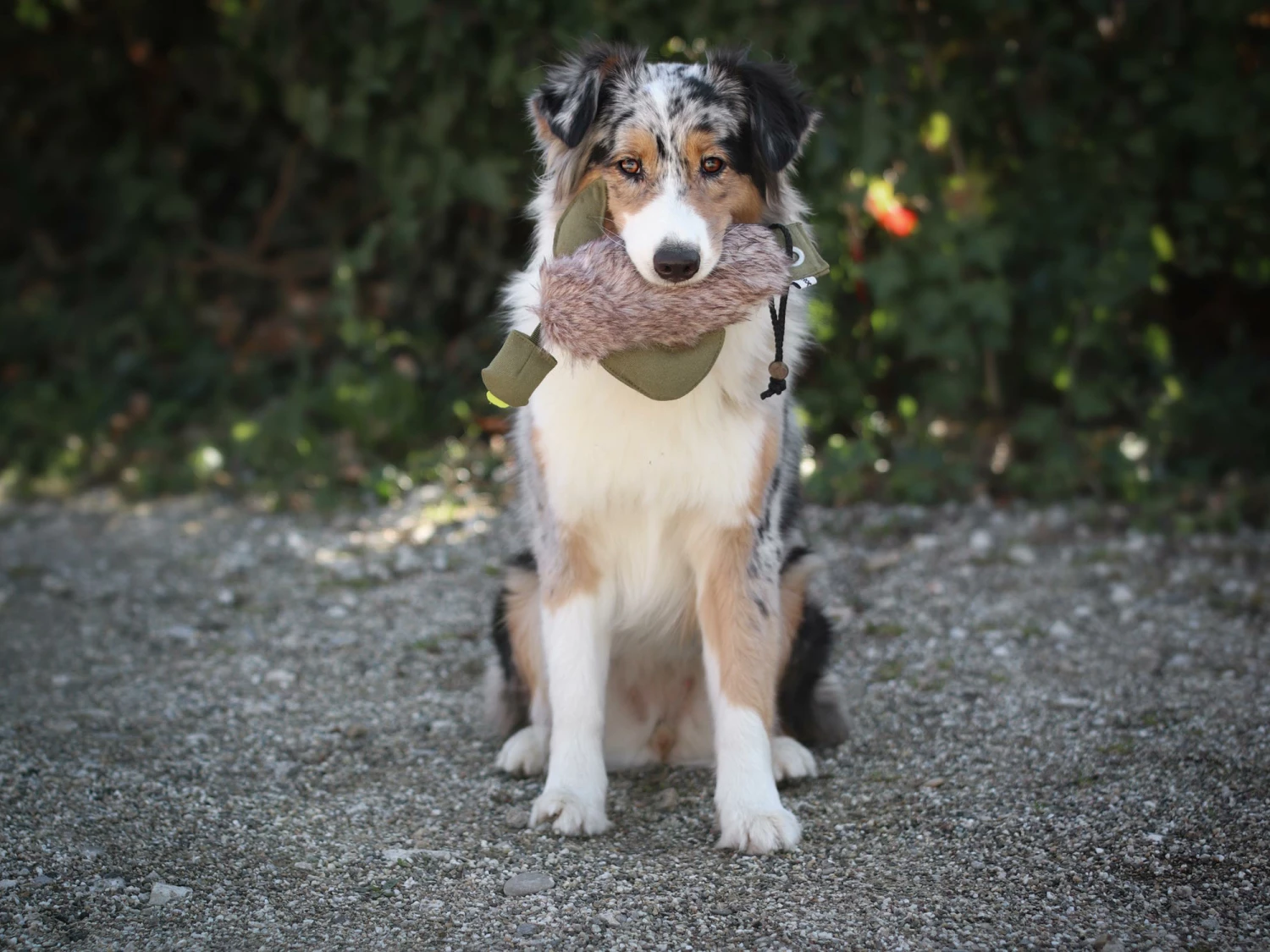 Duck Dummy Ente Mit Kunstfell 7 Duck Dummy Ente Mit Kunstfell – Bild 5