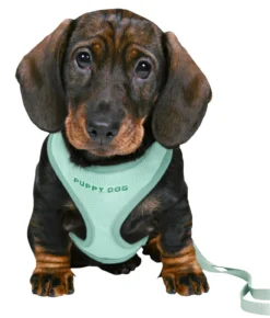 Trixie Junior Welpen-Softgeschirr Mit Leine Mint 15 Trixie Junior Welpen-Softgeschirr Mit Leine Mint -Günstiges Hundeshop Geschäft 1023463 Product