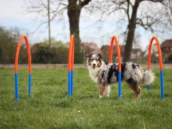 Hoopers Bogen Set Aus Kunststoff Mit Erdspießen -Günstiges Hundeshop Geschäft 1026213 Product