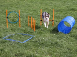 Agility Starter Set X 11 Agility Starter Set X -Günstiges Hundeshop Geschäft 1026254 Product