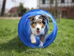 Dog Agility Tunnel 300 Cm X 50 Cm Blau 5 Dog Agility Tunnel 300 Cm X 50 Cm Blau -Günstiges Hundeshop Geschäft 1026298 Product