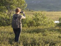 Pinewood Finnveden Damen Hoodie Olive -Günstiges Hundeshop Geschäft 1027563 Product