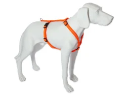 Feltmann Mantrailing Suchgeschirr Basic