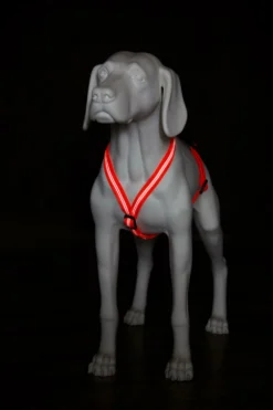 Feltmann Mantrailing Suchgeschirr Basic 9 Feltmann Mantrailing Suchgeschirr Basic -Günstiges Hundeshop Geschäft 1030651 Product