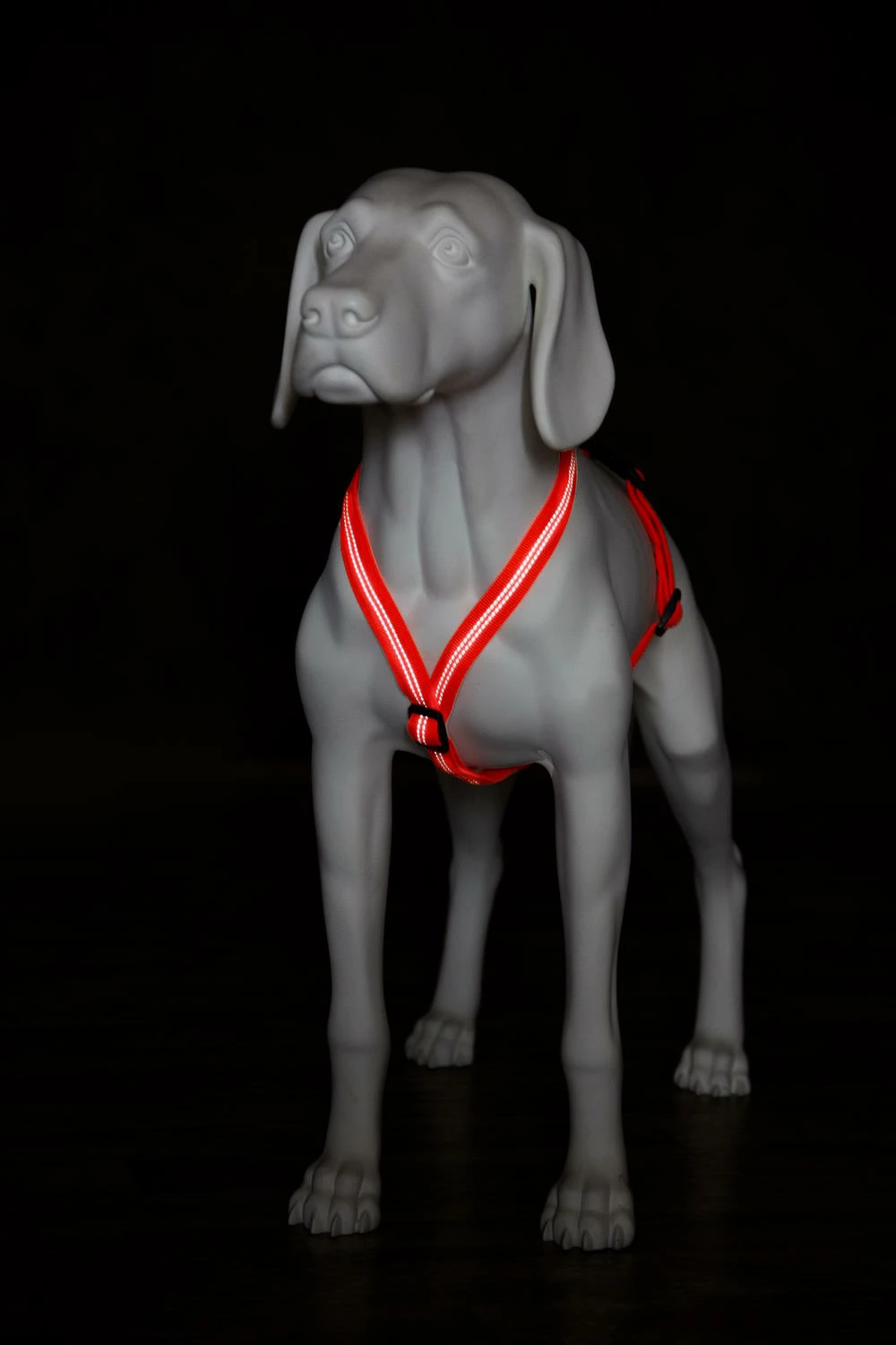 Feltmann Mantrailing Suchgeschirr Basic 5 Feltmann Mantrailing Suchgeschirr Basic – Bild 3