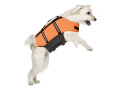 Schwimmweste Marinus Für Hunde Orange 8 Schwimmweste Marinus Für Hunde Orange -Günstiges Hundeshop Geschäft 1033253 Product