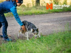 Non-Stop Dogwear Hundegeschirr Line Harness 5.0 Schwarz 15 Non-Stop Dogwear Hundegeschirr Line Harness 5.0 Schwarz -Günstiges Hundeshop Geschäft 1033732 Product