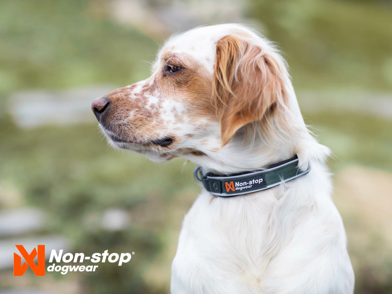 Non-Stop Dogwear Hundehalsband Roam Collar Grün 5 Non-Stop Dogwear Hundehalsband Roam Collar Grün – Bild 3