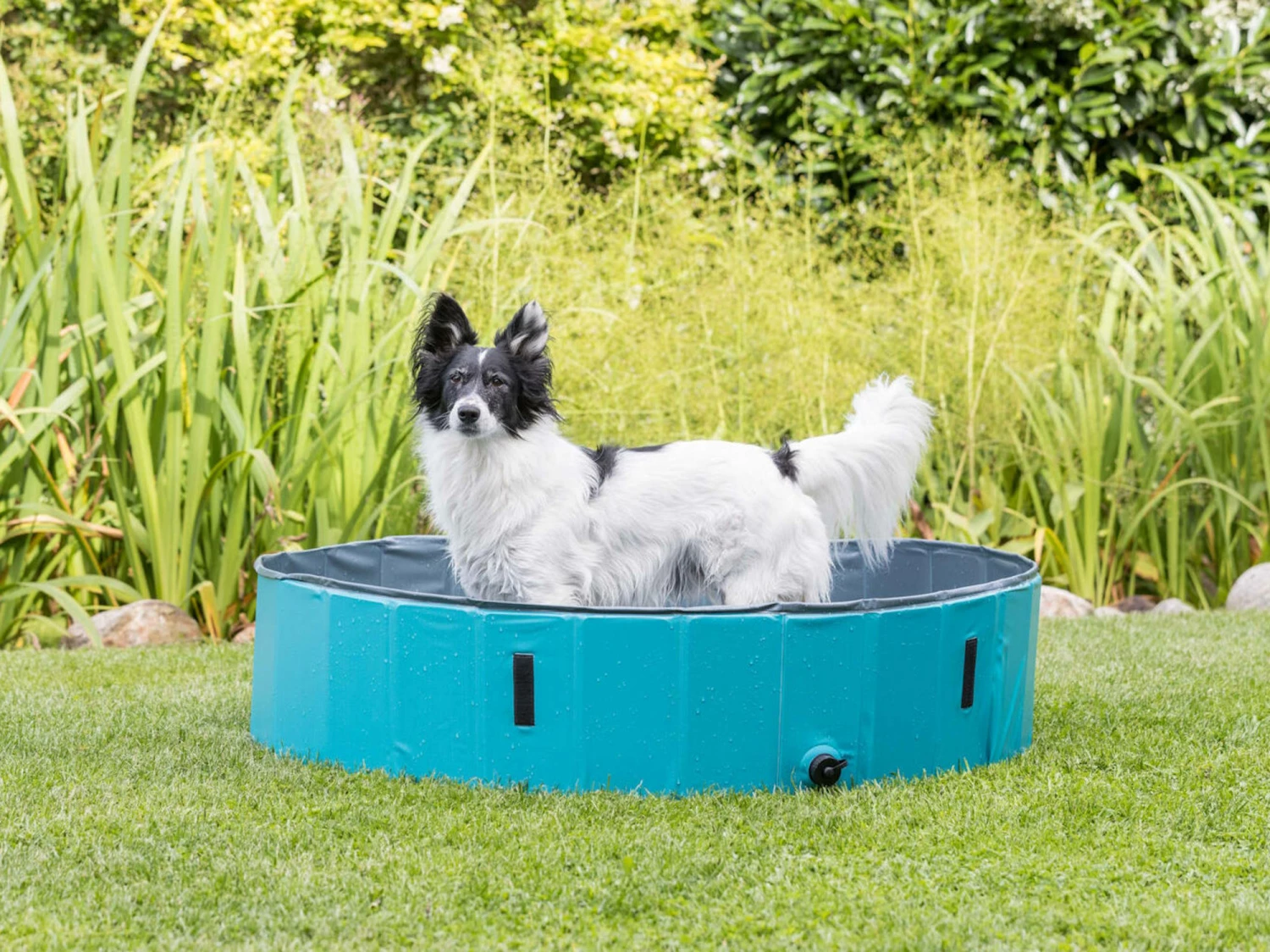 Trixie Hundepool Planschbecken Für Hunde 3 Trixie Hundepool Planschbecken Für Hunde