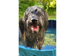 Trixie Hundepool Planschbecken Für Hunde 17 Trixie Hundepool Planschbecken Für Hunde -Günstiges Hundeshop Geschäft 1046126 Product