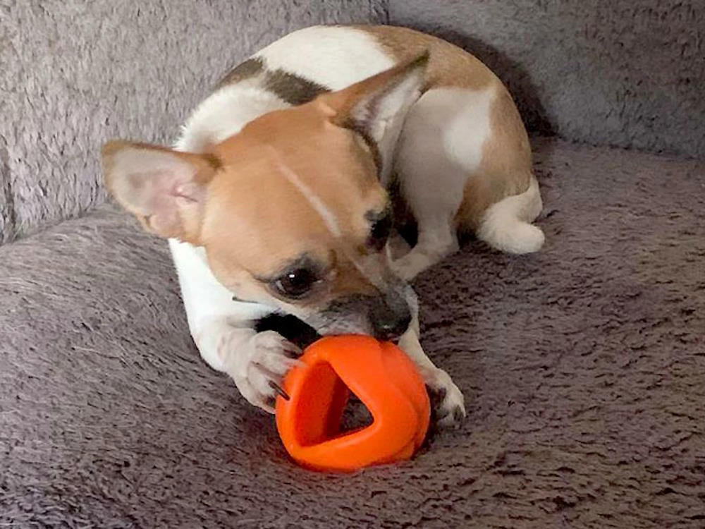 Moby Softbaits Soft Hundeball Ocean Blue 4 Moby Softbaits Soft Hundeball Ocean Blue – Bild 2