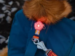 Ruffwear The Beacon™ Halsband- Und Geschirrlicht -Günstiges Hundeshop Geschäft 1047985 Product