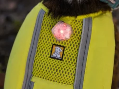 Ruffwear The Beacon™ Halsband- Und Geschirrlicht -Günstiges Hundeshop Geschäft 1047986 Product