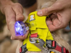 Ruffwear The Beacon™ Halsband- Und Geschirrlicht -Günstiges Hundeshop Geschäft 1047987 Product