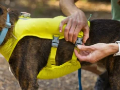 Ruffwear Trail Runner™ Hunde-Laufweste Lichen Green -Günstiges Hundeshop Geschäft 1048021 Product