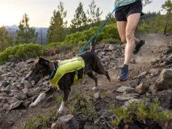 Ruffwear Trail Runner™ Hunde-Laufweste Lichen Green -Günstiges Hundeshop Geschäft 1048025 Product