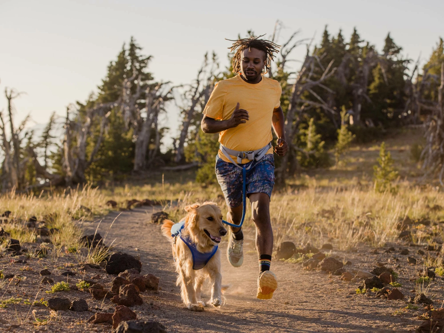 Ruffwear Trail Runner™ Hunde-Laufweste Blue Pool 9 Ruffwear Trail Runner™ Hunde-Laufweste Blue Pool – Bild 7