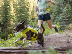 Ruffwear Trail Runner™ Dehnbare Hundeleine Blue Pool 15 Ruffwear Trail Runner™ Dehnbare Hundeleine Blue Pool -Günstiges Hundeshop Geschäft 1049094 Product