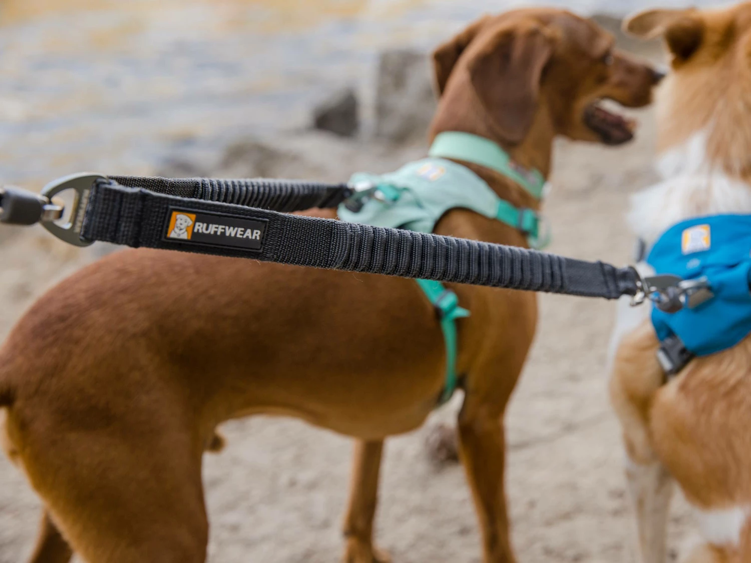 Ruffwear Double Track™ Coupler Koppel Für 2 Hunde 6 Ruffwear Double Track™ Coupler Koppel Für 2 Hunde – Bild 4