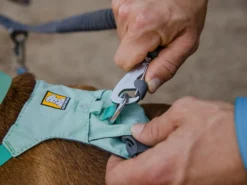 Ruffwear Double Track™ Coupler Koppel Für 2 Hunde 12 Ruffwear Double Track™ Coupler Koppel Für 2 Hunde -Günstiges Hundeshop Geschäft 1049171 Product