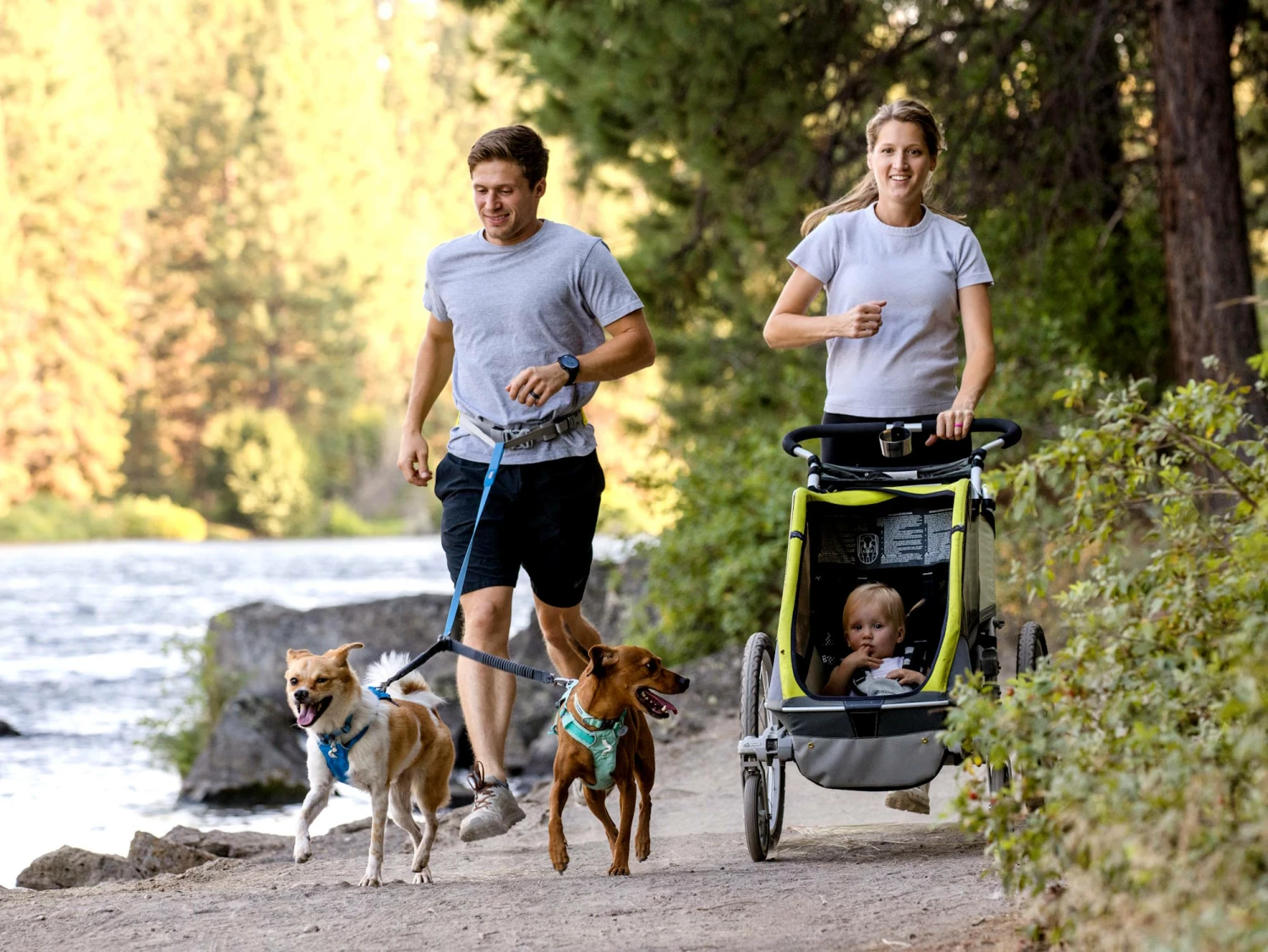 Ruffwear Double Track™ Coupler Koppel Für 2 Hunde 8 Ruffwear Double Track™ Coupler Koppel Für 2 Hunde – Bild 6