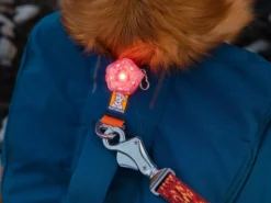 Ruffwear Flat Out™ Hundeleine Ember Distortion -Günstiges Hundeshop Geschäft 1050572 Product