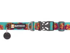 Ruffwear Flat Out™ Hundehalsband Spring Burst 5 Ruffwear Flat Out™ Hundehalsband Spring Burst -Günstiges Hundeshop Geschäft 1051473 Product
