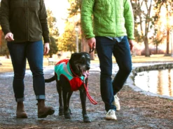 Ruffwear Just-a-Cinch™ Retrieverleine Red Sumac 9 Ruffwear Just-a-Cinch™ Retrieverleine Red Sumac -Günstiges Hundeshop Geschäft 1052524 Product