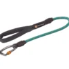 Ruffwear Knot-a-Long™ Kurzführer Hundeleine Aurora Teal 1 Ruffwear Knot-a-Long™ Kurzführer Hundeleine Aurora Teal -Günstiges Hundeshop Geschäft 1052610 Product