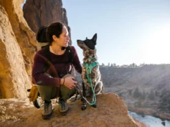 Ruffwear Knot-a-Long™ Kurzführer Hundeleine Aurora Teal -Günstiges Hundeshop Geschäft 1052613 Product