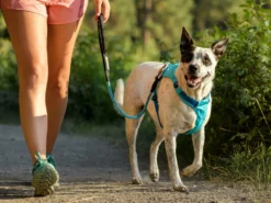 Ruffwear Knot-a-Long™ Kurzführer Hundeleine Aurora Teal -Günstiges Hundeshop Geschäft 1052614 Product