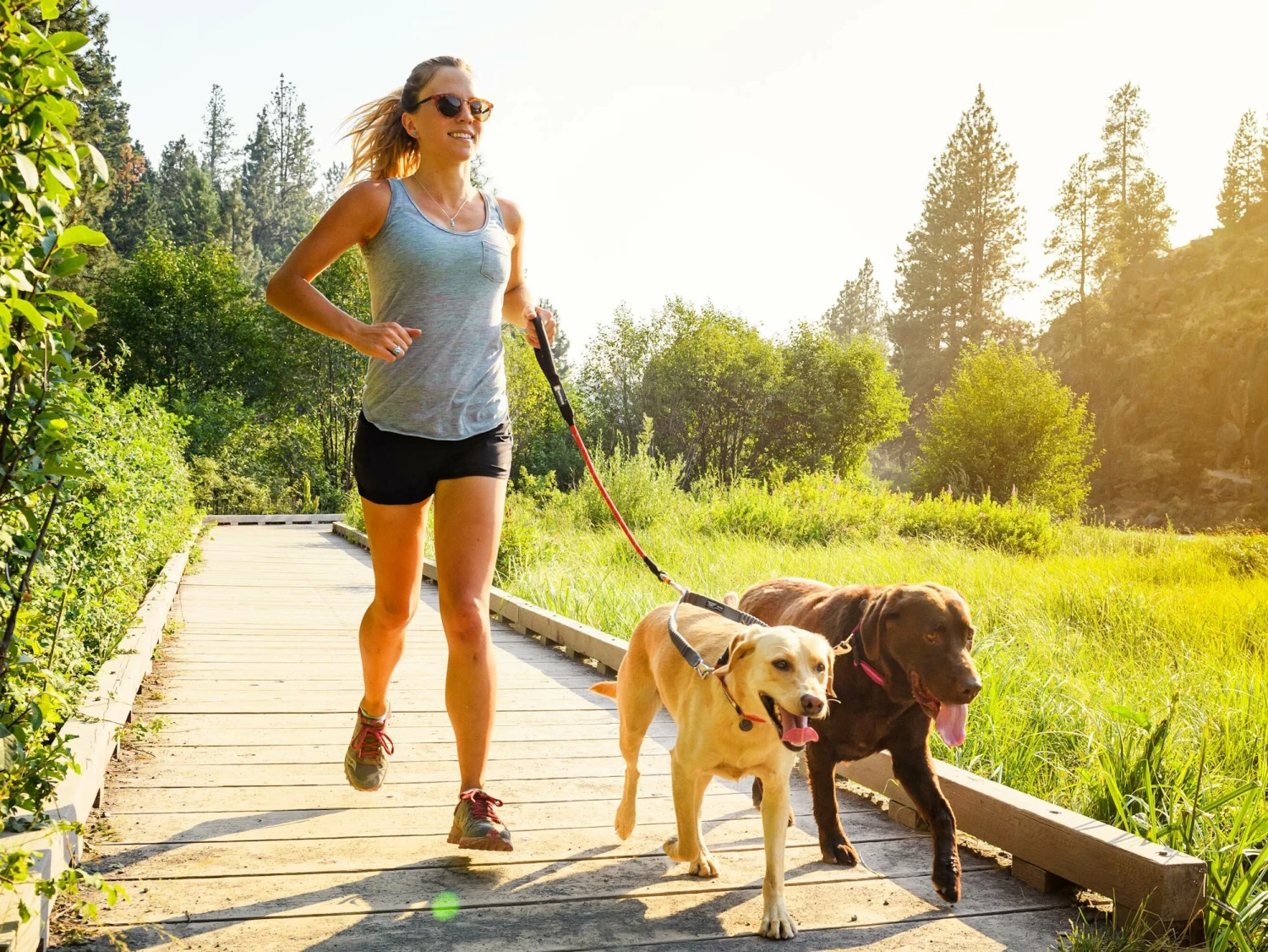 Ruffwear Knot-a-Long™ Kurzführer Hundeleine Red Sumac 6 Ruffwear Knot-a-Long™ Kurzführer Hundeleine Red Sumac – Bild 4