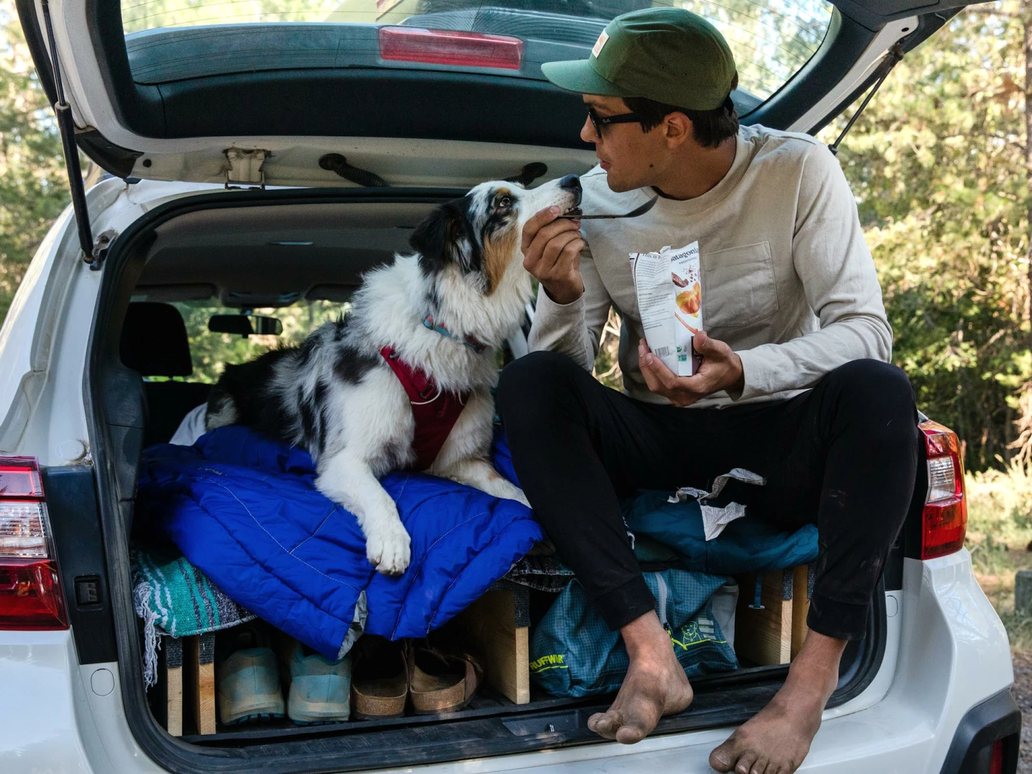 Ruffwear Highlands Sleeping Bag™ Hundeschlafsack Huckleberry Blue 9 Ruffwear Highlands Sleeping Bag™ Hundeschlafsack Huckleberry Blue – Bild 7