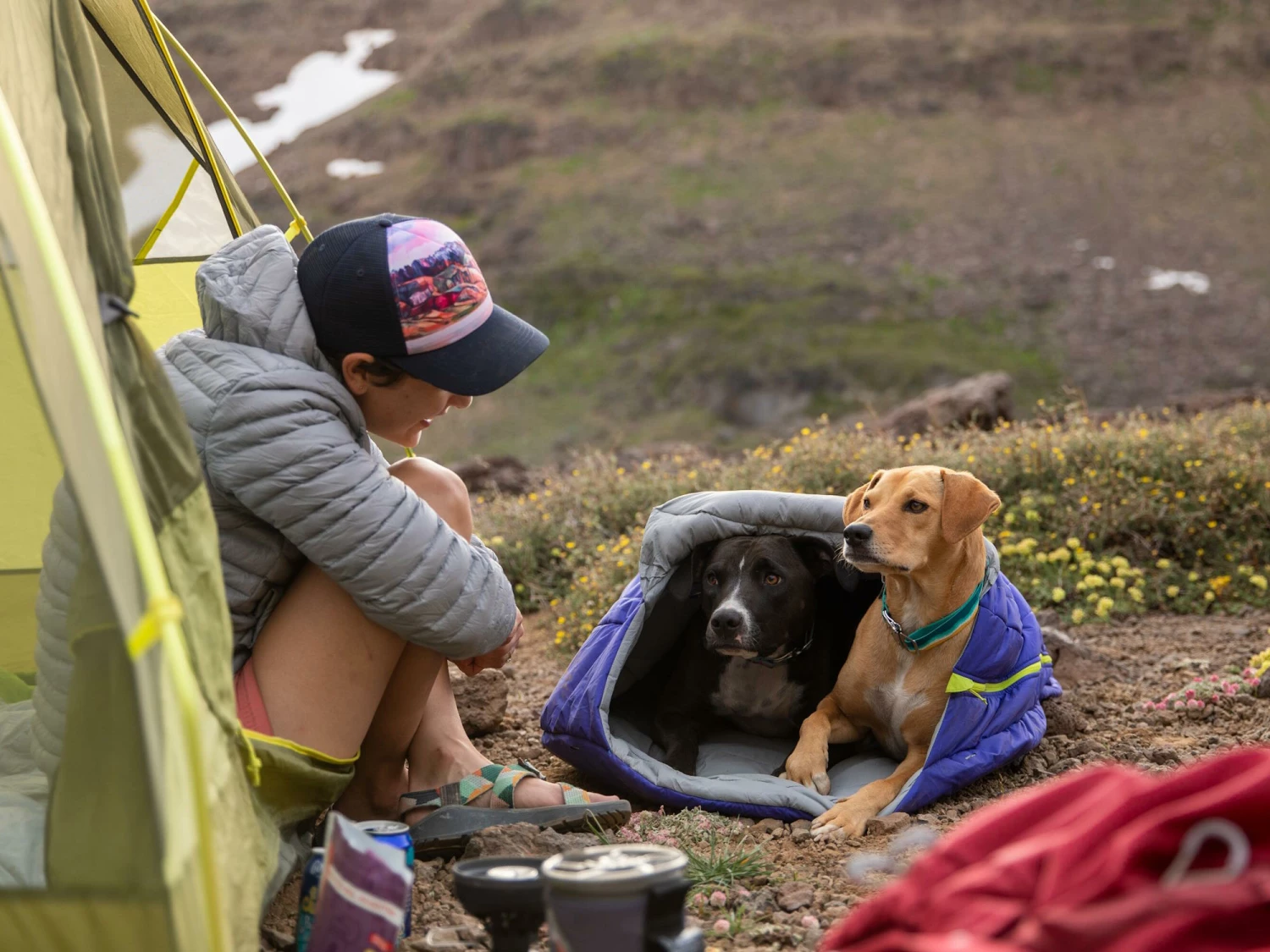 Ruffwear Highlands Sleeping Bag™ Hundeschlafsack Huckleberry Blue 10 Ruffwear Highlands Sleeping Bag™ Hundeschlafsack Huckleberry Blue – Bild 8