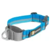 Ruffwear Web Reaction™ Martingal Hundehalsband Blue Dusk 2 Ruffwear Web Reaction™ Martingal Hundehalsband Blue Dusk -Günstiges Hundeshop Geschäft 1057170 Product